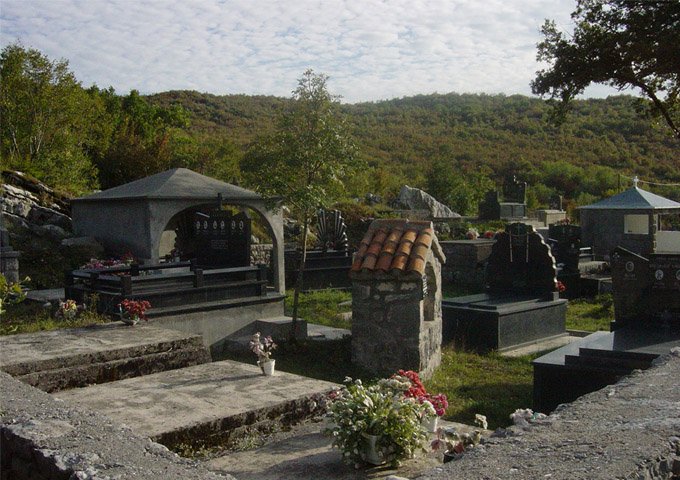 picture8